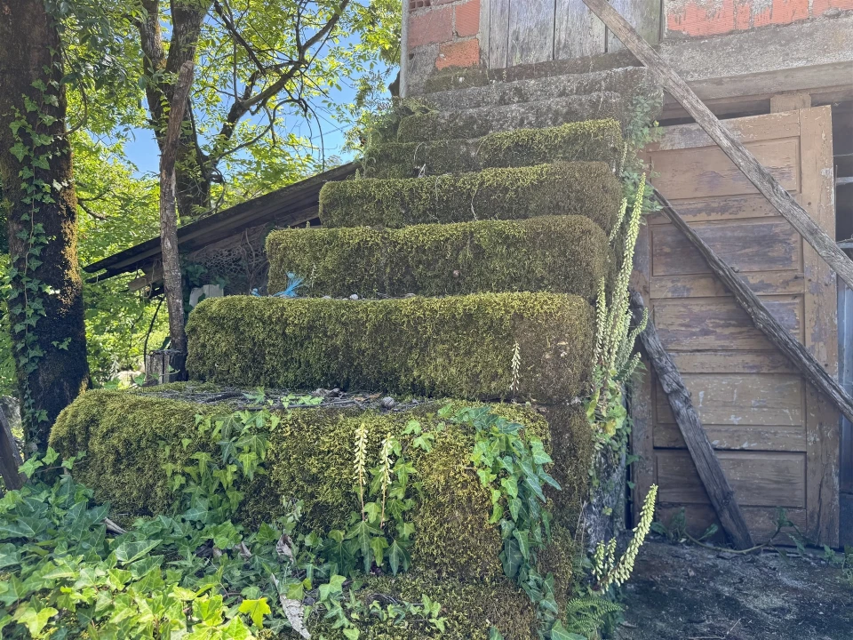 Quinta T3 para Venda em Moimenta Foto 24