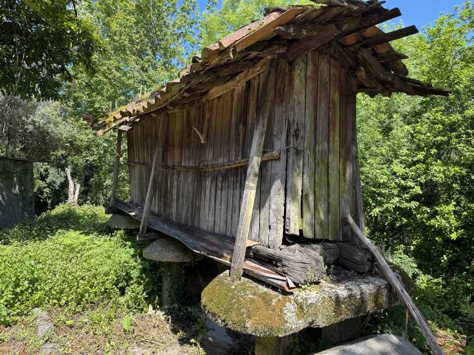 Quinta T3 para Venda em Moimenta Foto 4