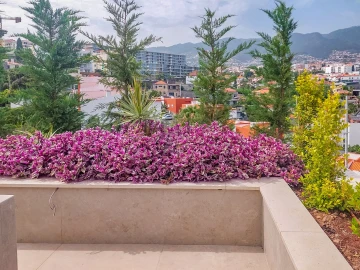 Apartamento T3 para Venda em São Martinho