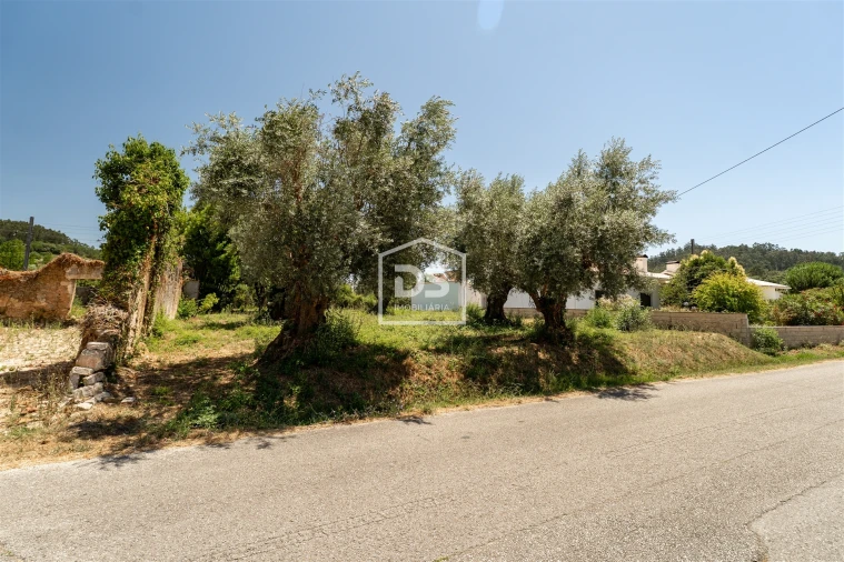 Terreno Agricola ou Rústico para Venda em Pombal Foto 1
