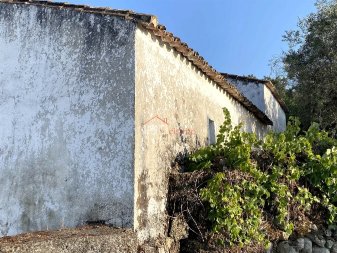 Moradia T3 para Venda em Beirã Foto 12