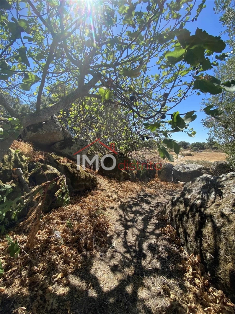 Moradia T3 para Venda em Beirã Foto 23