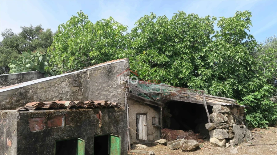 Moradia T3 para Venda em Beirã Foto 24