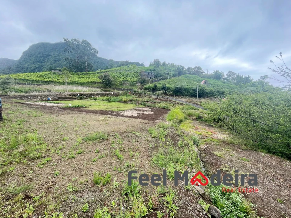 Terreno Agricola ou Rústico para Venda em Boa Ventura Foto 8