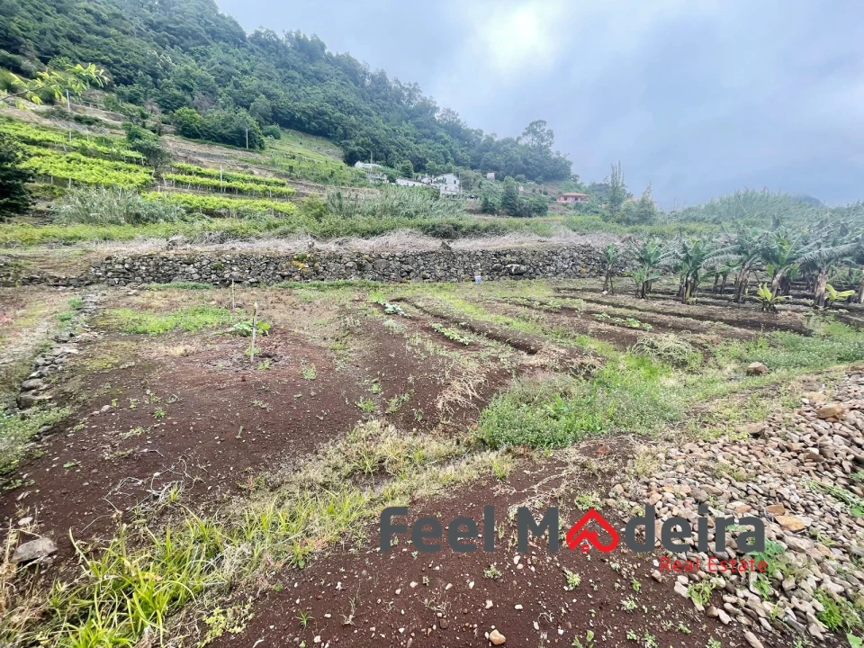 Terreno Agricola ou Rústico para Venda em Boa Ventura Foto 7