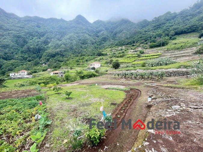 Terreno Agricola ou Rústico para Venda em Boa Ventura Foto 3