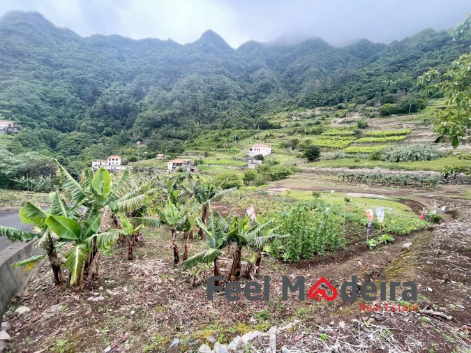 Terreno Agricola ou Rústico para Venda em Boa Ventura Foto 10