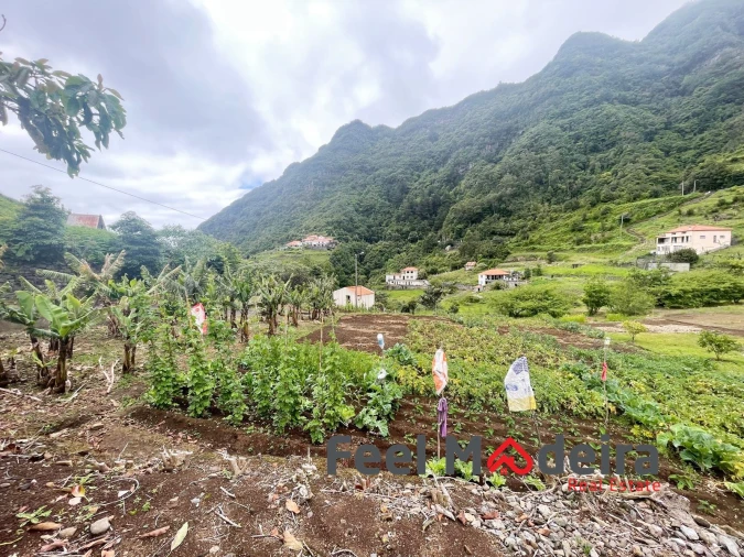 Terreno Agricola ou Rústico para Venda em Boa Ventura Foto 2