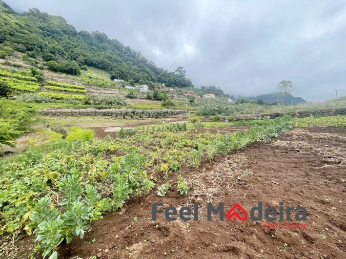 Terreno Agricola ou Rústico para Venda em Boa Ventura Foto 1