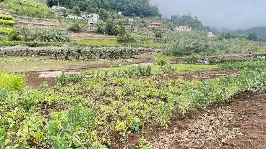 Terreno Agricola ou Rústico para Venda em Boa Ventura