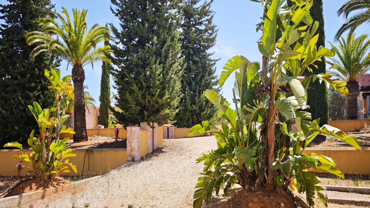 Quinta T93 para Venda em Guia Foto 6