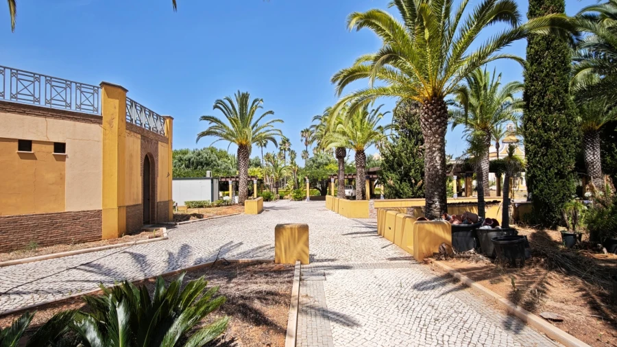 Quinta T93 para Venda em Guia Foto 41