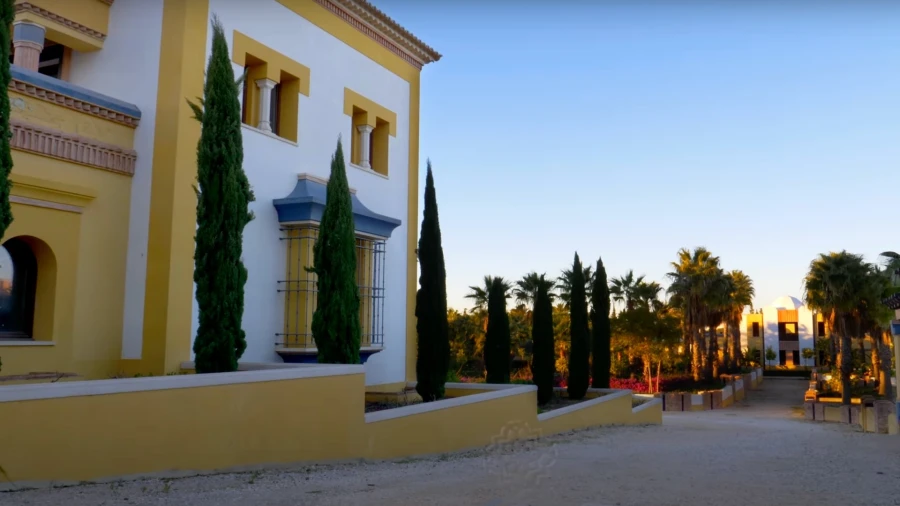 Quinta T93 para Venda em Guia Foto 24