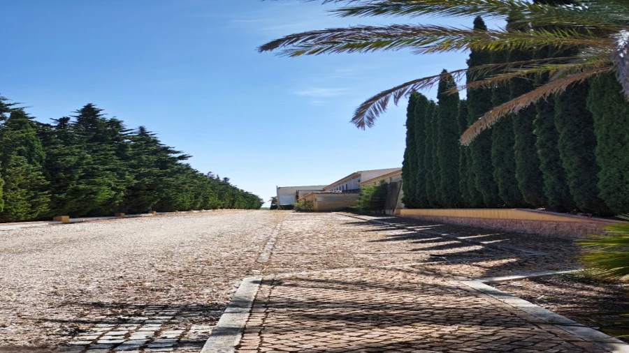 Quinta T93 para Venda em Guia Foto 14