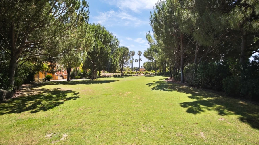 Quinta T93 para Venda em Guia Foto 33