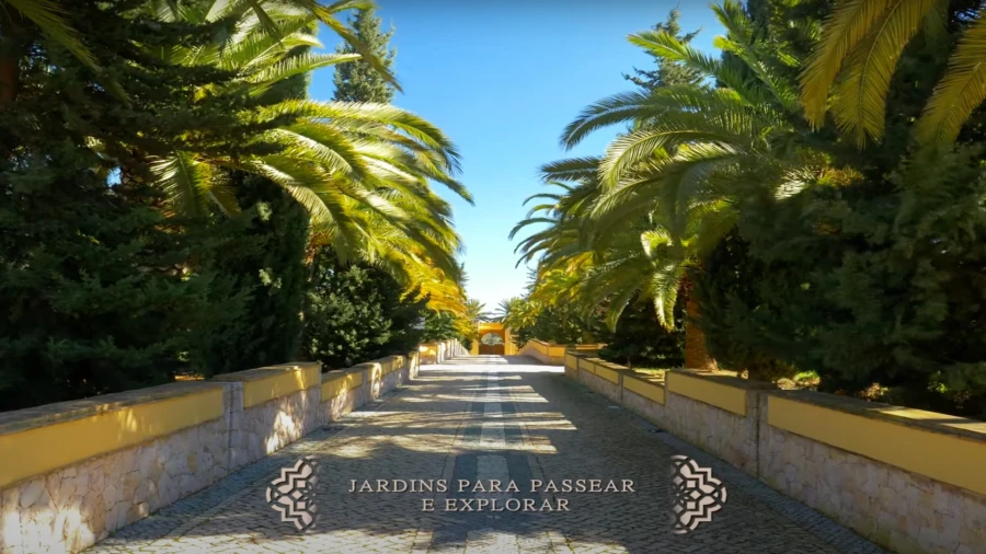 Quinta T93 para Venda em Guia Foto 23