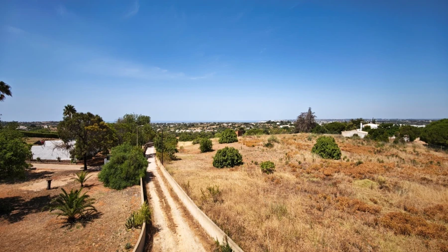 Quinta T93 para Venda em Guia Foto 35