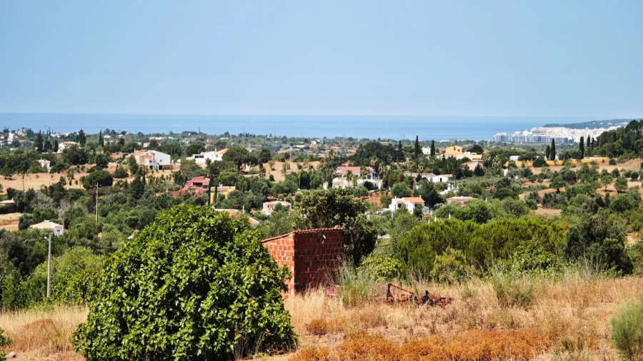 Quinta T93 para Venda em Guia Foto 3