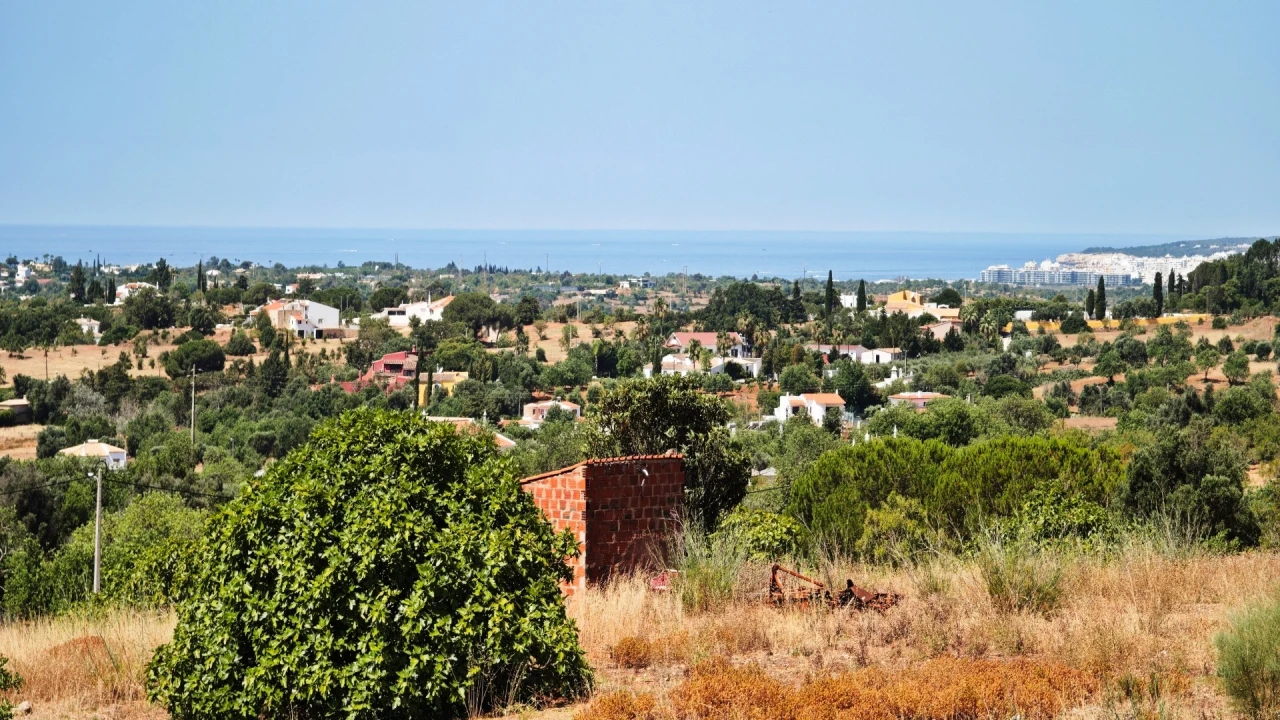 Quinta T93 para Venda em Guia Foto 3
