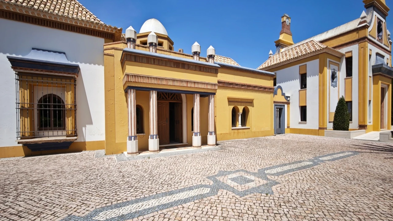 Quinta T93 para Venda em Guia Foto 15