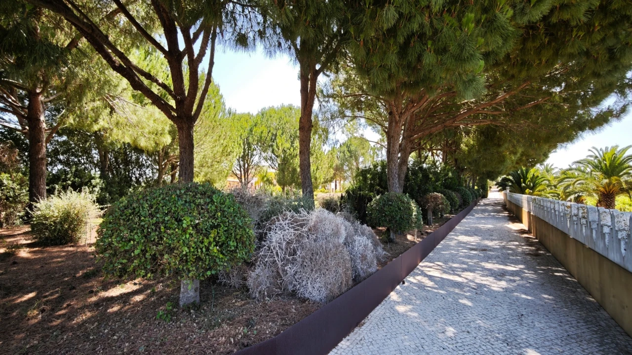 Quinta T93 para Venda em Guia Foto 34