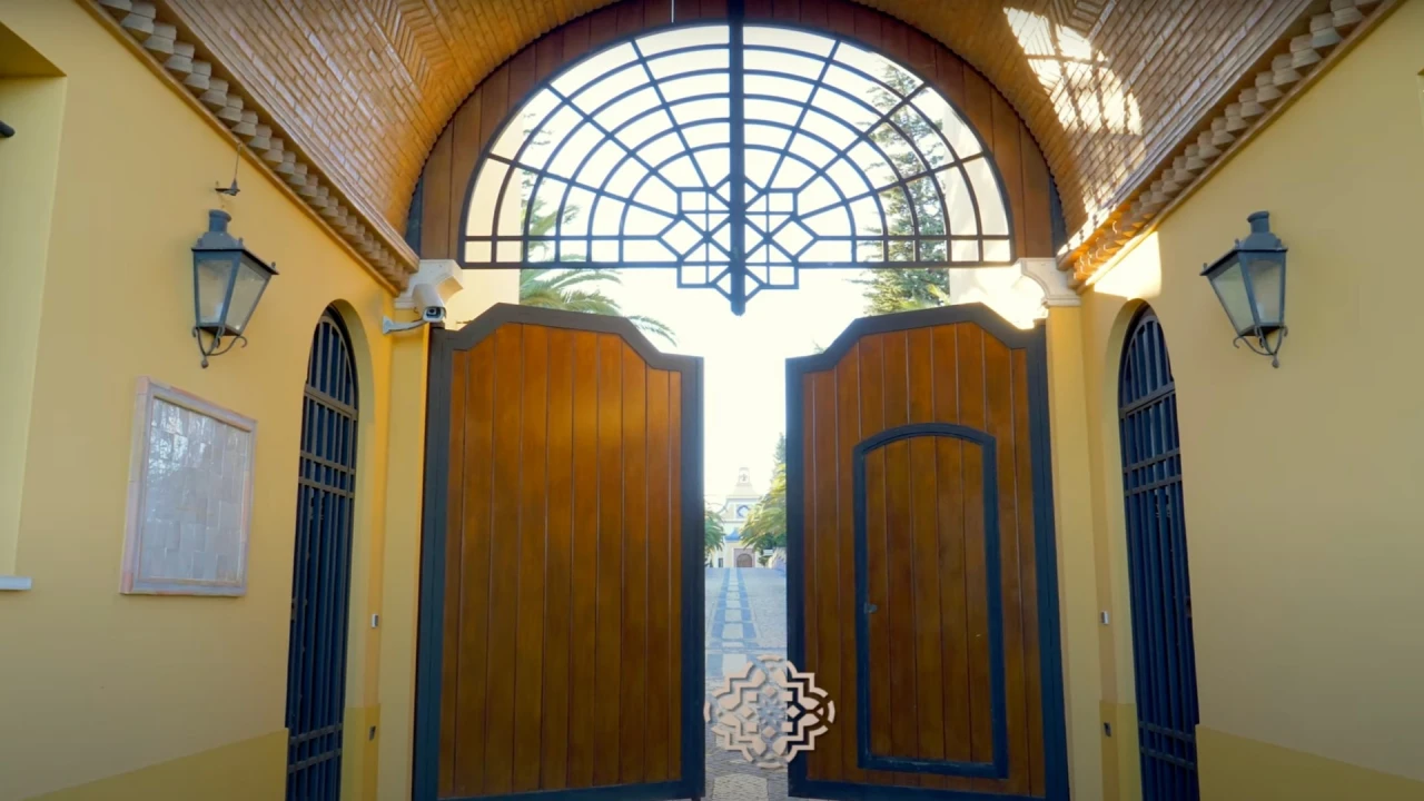 Quinta T93 para Venda em Guia Foto 26