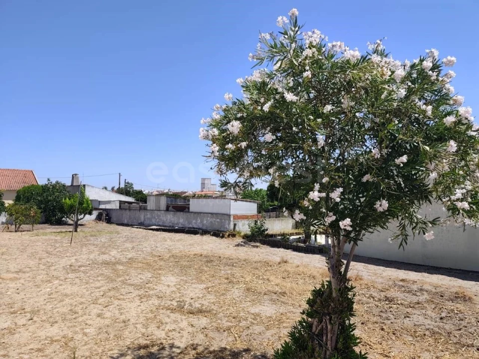 Terreno para Venda em Ermidas-Sado Foto 10