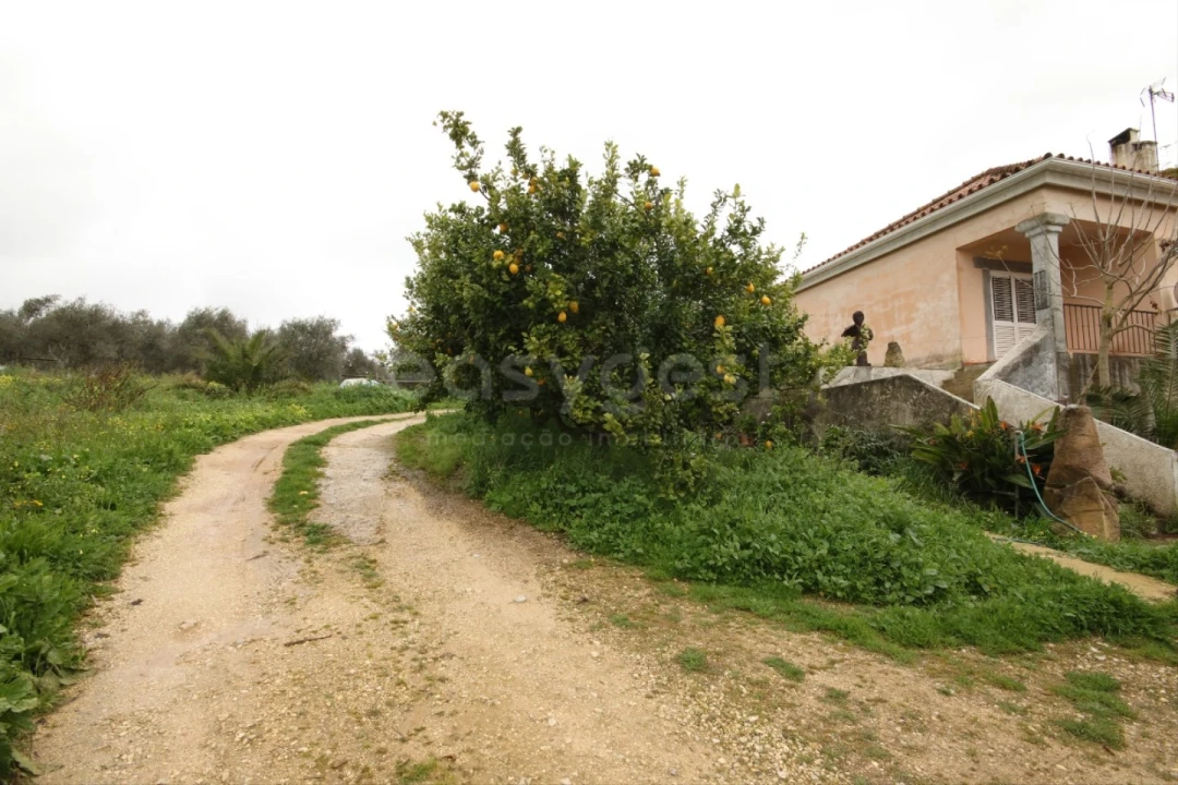 Quinta T5 para Venda em Cartaxo e Vale da Pinta Foto 9