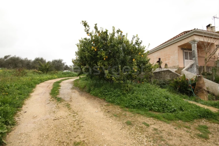 Quinta T5 para Venda em Cartaxo e Vale da Pinta Foto 9