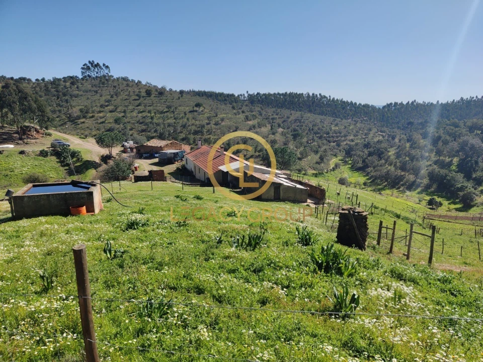 Quinta T1 para Venda em São Martinho das Amoreiras Foto 6