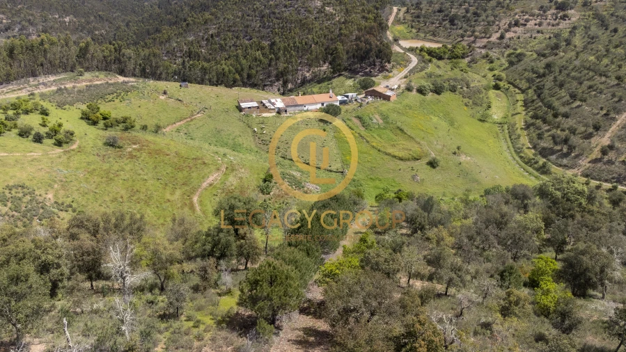 Quinta T1 para Venda em São Martinho das Amoreiras Foto 2