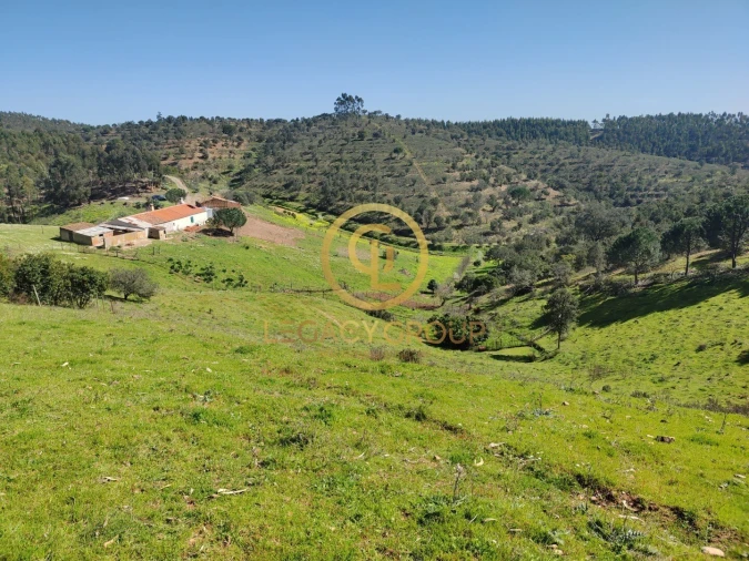 Quinta T1 para Venda em São Martinho das Amoreiras Foto 5