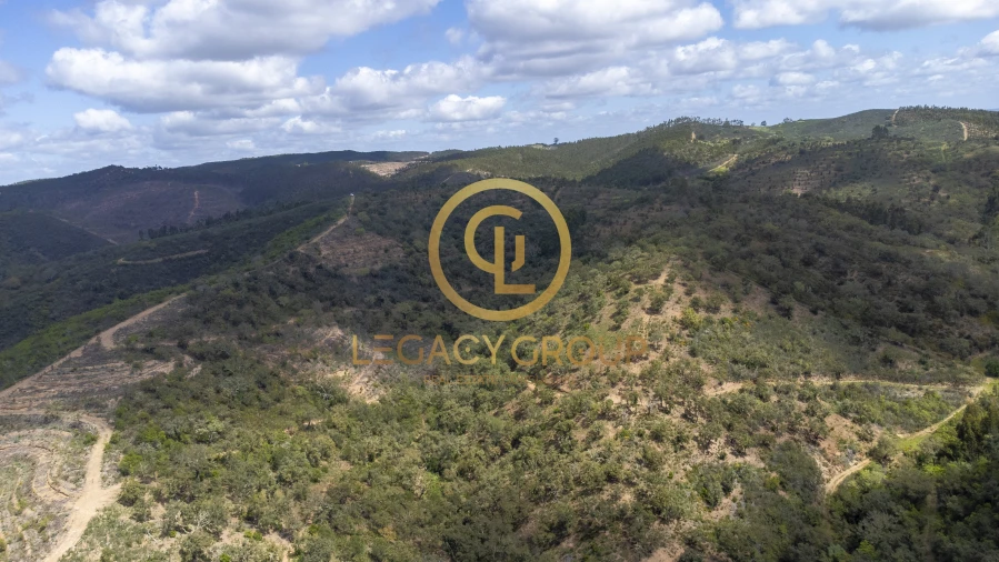 Quinta T1 para Venda em São Martinho das Amoreiras Foto 7