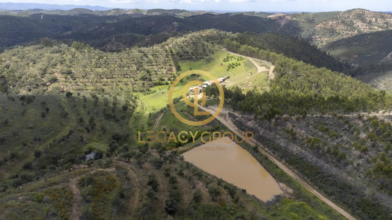 Quinta T1 para Venda em São Martinho das Amoreiras Foto 10