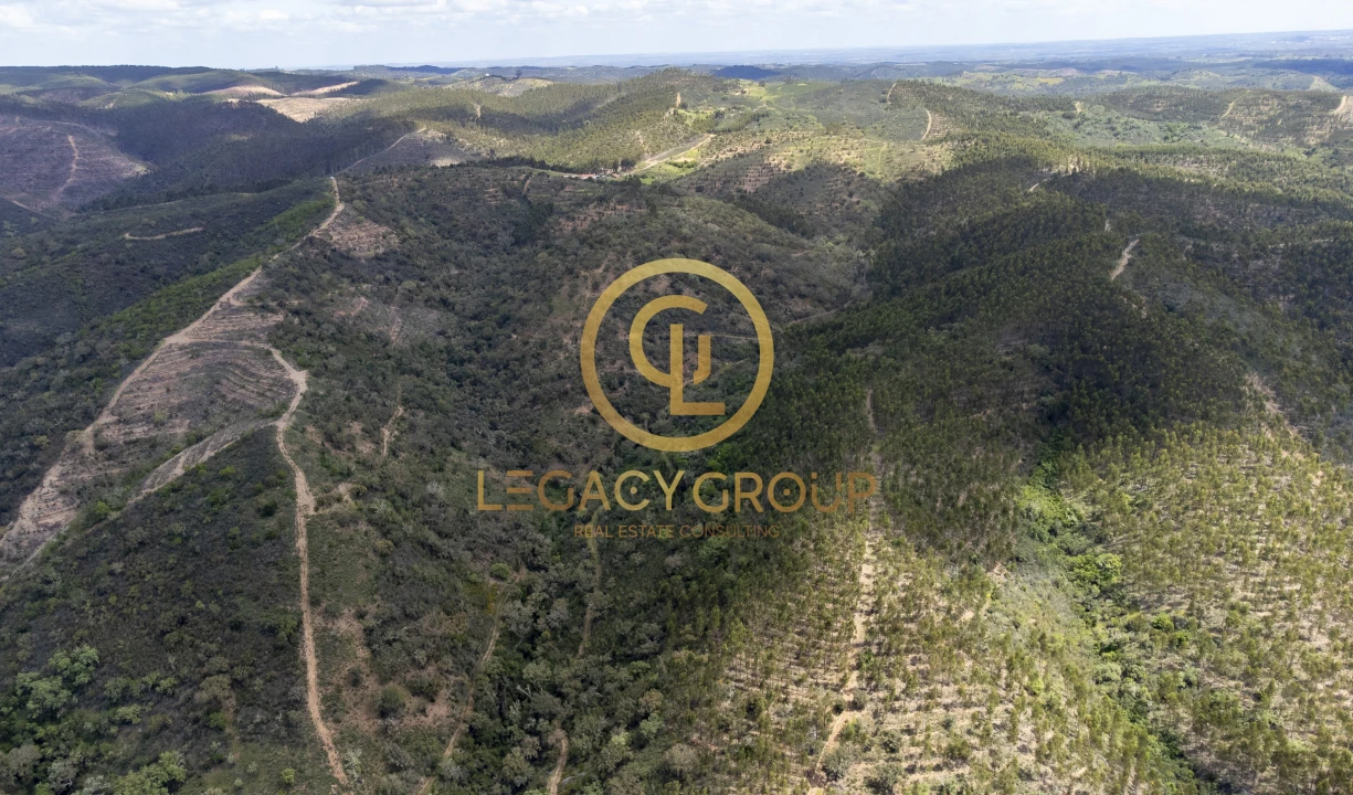 Quinta T1 para Venda em São Martinho das Amoreiras Foto 5