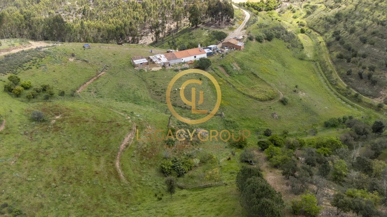 Quinta T1 para Venda em São Martinho das Amoreiras Foto 3