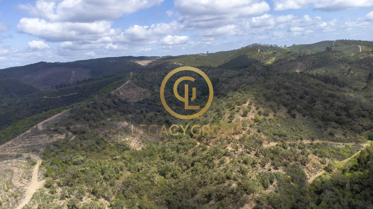 Quinta T1 para Venda em São Martinho das Amoreiras Foto 7