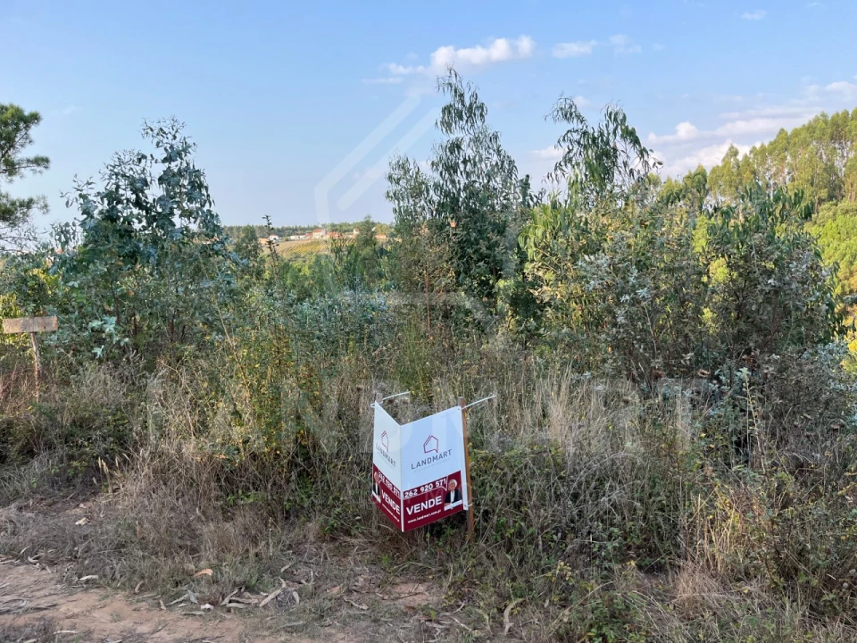 Terreno Agricola ou Rústico para Venda em Turquel Foto 1