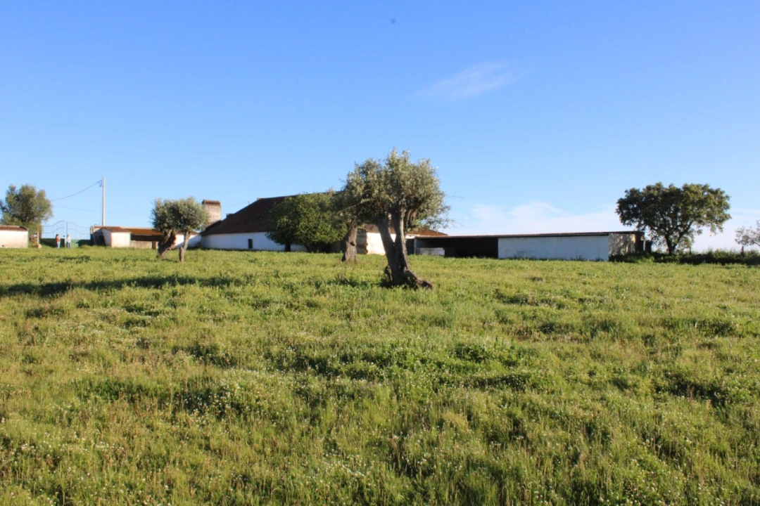 Quinta T1 para Venda em Cabeço de Vide Foto 7