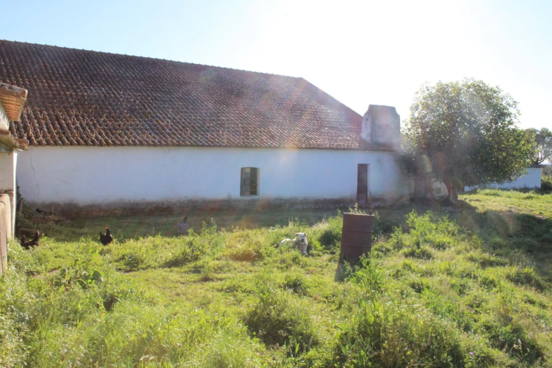 Quinta T1 para Venda em Cabeço de Vide Foto 11