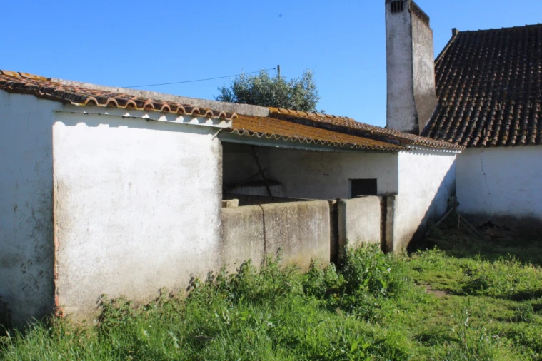 Quinta T1 para Venda em Cabeço de Vide Foto 12