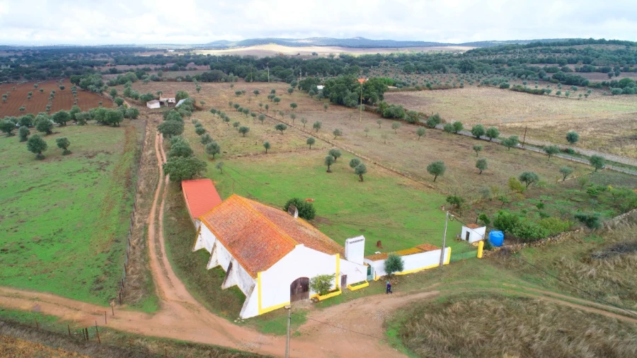 Quinta T1 para Venda em Cabeço de Vide Foto 6