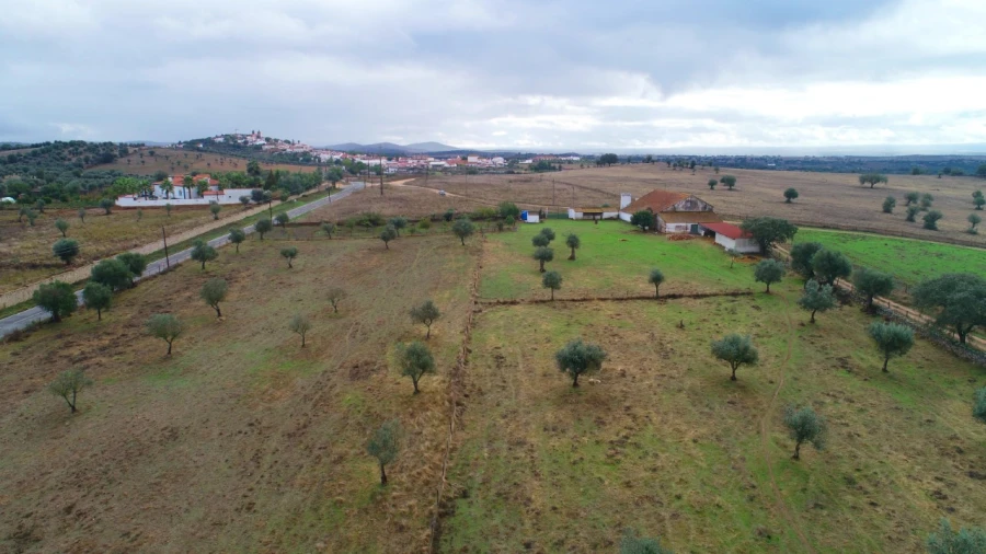Quinta T1 para Venda em Cabeço de Vide Foto 24