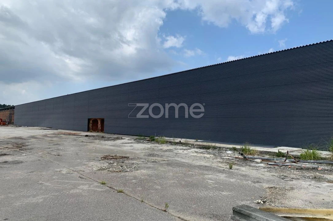 Terreno Comércio / Armazém para Venda em Oliveira do Bairro Foto 3