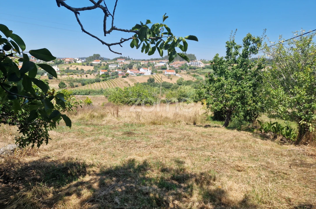 Terreno para Venda em Vinha da Rainha Foto 3