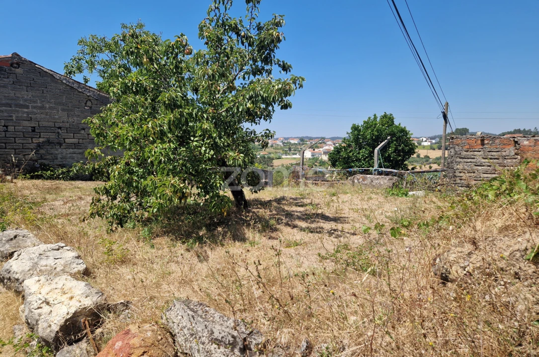 Terreno para Venda em Vinha da Rainha Foto 11
