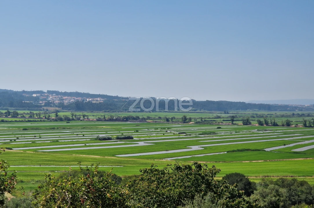 Terreno para Venda em Vinha da Rainha Foto 14