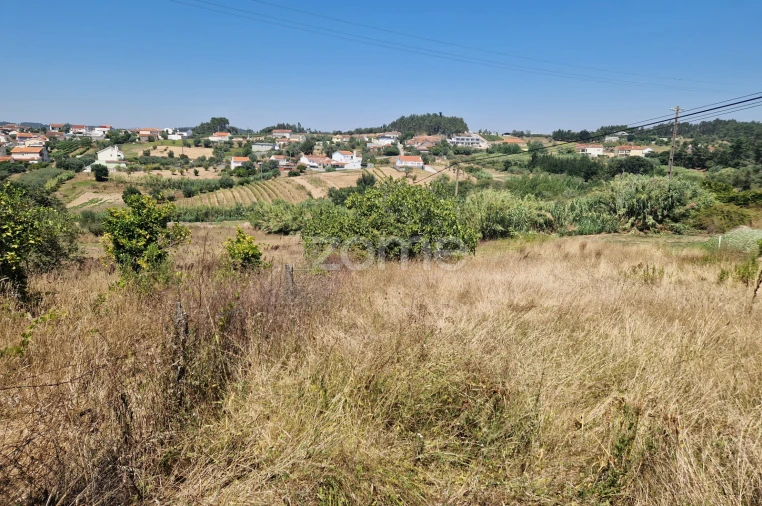Terreno para Venda em Vinha da Rainha Foto 7