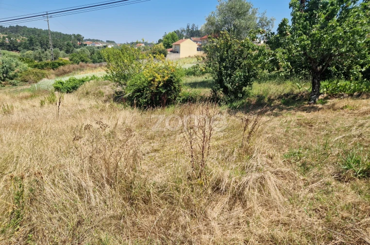 Terreno para Venda em Vinha da Rainha Foto 6
