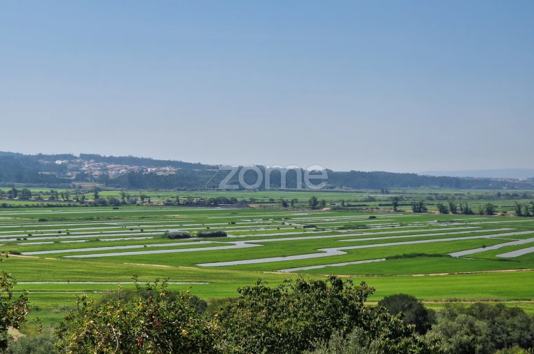 Terreno para Venda em Vinha da Rainha Foto 14